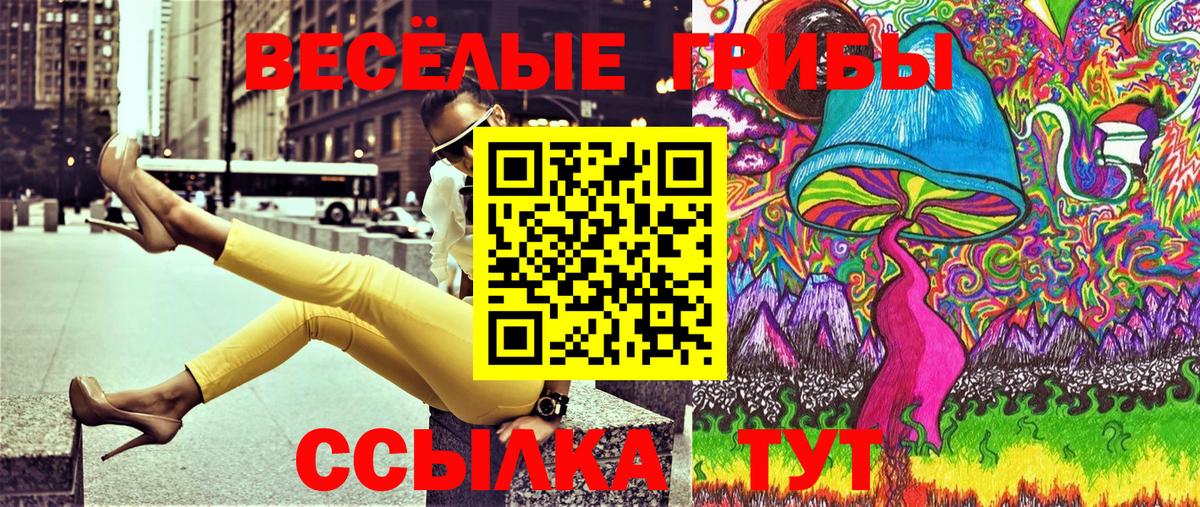 Псилоцибиновые грибы мухоморы Королёв