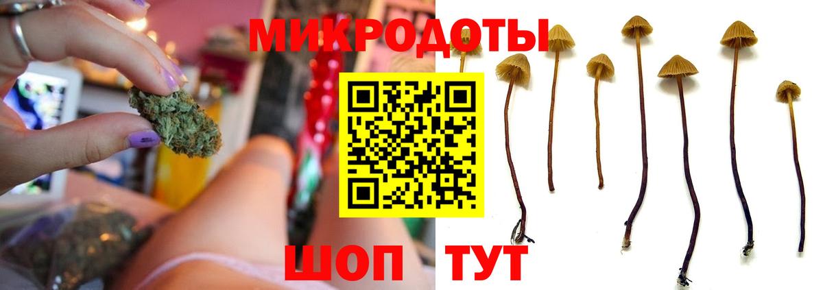 Псилоцибиновые грибы мицелий  Галлюциногенные грибы GOLDEN TEACHER  Королёв  Вход с VPN 
